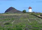 Weinbaugebiet