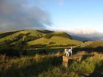 Strand, Wandern, Natur pur