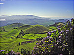 Relaxen auf Sao Miguel