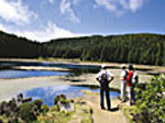 Wandern auf Sao Miguel