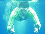 Dolphin Spirit