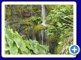 rom_20090729_163124_3000px
