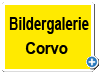 Bildergalerie Corvo