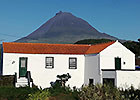 Casa dos Biscoitos