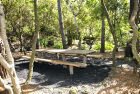 Parque Florestal do Capelo