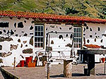Casa Golfinho