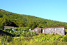 Casa Alto da Ribeira