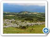 S�dk�ste von Flores