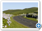 Landschaft auf Flores