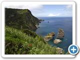 Ostk�ste von Flores