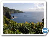 Ostk�ste von Flores