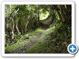 Wanderweg im Westen