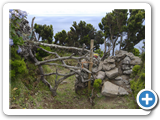 Wanderweg im Westen