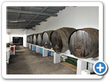 Weingut Terra do Conde