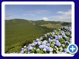 rom_20080728_155352_3000px